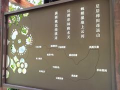 -重庆彩云湖湿地公园
