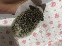 -舅姥爷砂锅(正阳路)