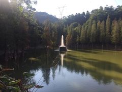 -广州市帽峰山景区