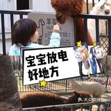 和宝宝一起去玩耍(放松)！