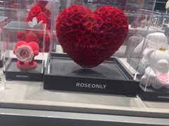 -ROSEONLY诺誓(国际广场购物中心店)