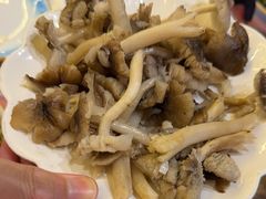 -金鼎雪山牦牛杂火锅(理县总店)