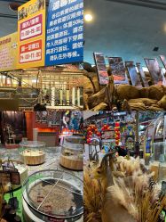 -卡通尼·Safari非洲探索乐园·生日会(金桥国际商业广场店)