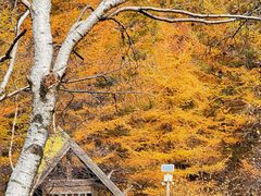 -苏木山森林公园