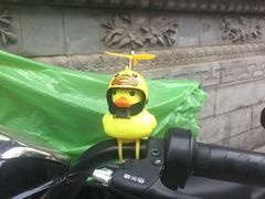 -迎泽公园