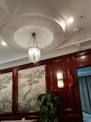 -南京医科大学友谊整形外科医院