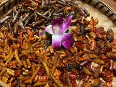 -老滇山寨•云南特色菜•地方菜•民族风情歌舞表演(金碧店)