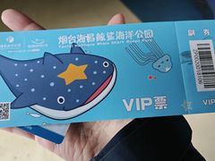 -烟台海昌鲸鲨海洋公园
