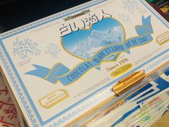 -关西国际机场直营免税店
