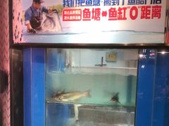 -鱼酷活鱼烤鱼(梅江印象城店)