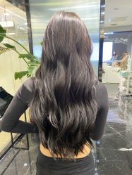 -时尚殿堂salon