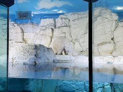 -大连老虎滩海洋公园