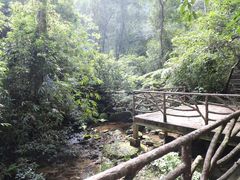 -海南热带雨林国家公园吊罗山景区