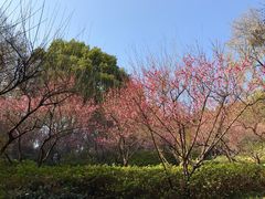 -团城山公园