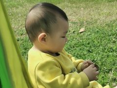 -武昌江滩