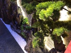 -恬阿姨庭院餐厅·生日宴