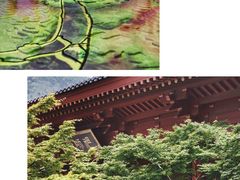 -苏州青少年科技馆