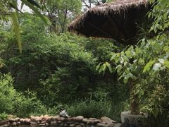 -深业半汤御泉庄温泉