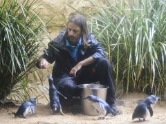 -悉尼海洋生物水族馆