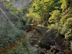 -宁海森林温泉