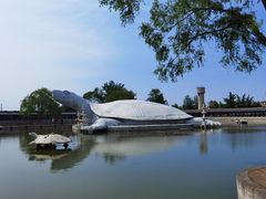 -东方巨龟苑景区