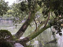 -西湖天地
