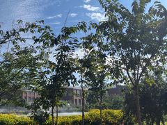-云南大学滇池学院
