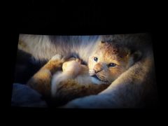 -上影国际影城(普陀绿地缤纷城店)