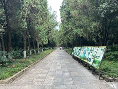 -灵谷景区