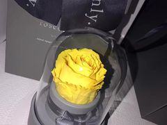 -ROSEONLY诺誓(国际广场购物中心店)