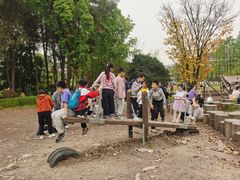 -铁山坪森林公园