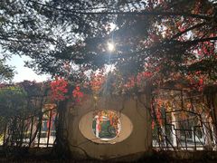 -吉林大学(南岭校区)