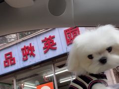 -国英炖品店(甲子路店)