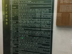 -亳州博物馆