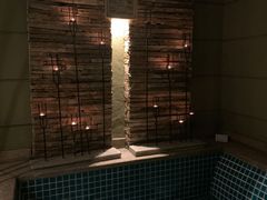 -春晖园度假酒店温泉