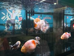 -華歡冰室-WahFoon(吉大店)