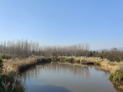 -西昌邛海湿地