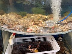 -鑫渔港海鲜本地菜·山海关浑锅(东戴河店)