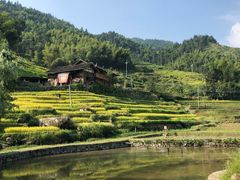 -紫鹊界梯田景区