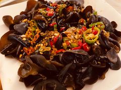 -百利鸽王(紫薇路店)