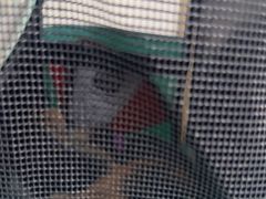 -守诺宠物医院·眼科· 特色牙科·异宠专科(虹口店)