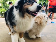 -TrueLove @ Neverland (Husky Cafe)