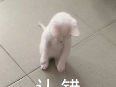 -星巴克臻选(华堂·新辰汇店)