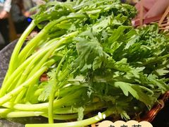 -湊湊火锅·茶憩(东城万达店)