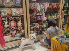 -帕帕拉兹宠物(亚洲旗舰店)