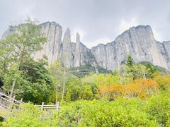 -恩施大峡谷