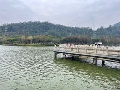 -顺峰山公园