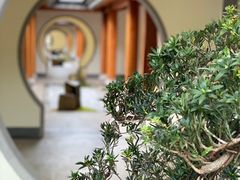 -和顺柏联温泉