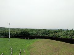 -西京湾花海