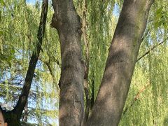 -西安市长乐公园